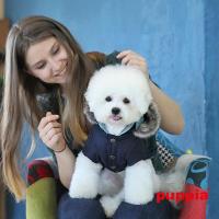 Puppia psí vesta Arthur modrá