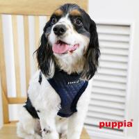 Puppia kšíry Farren Harness A navy