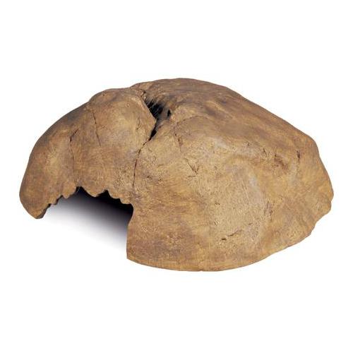 Jeskyně Reptile Cave extra velká