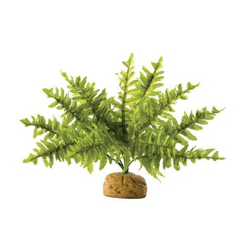ExoTerra Boston Fern malý