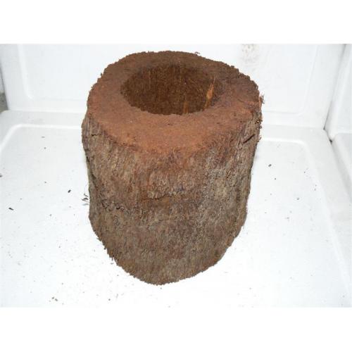 Xaxim dutiny kola 20cm