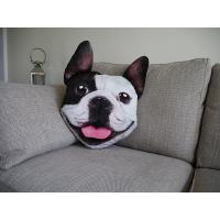 Polštář 3D French Bulldog