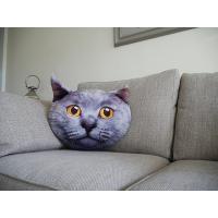 Polštář 3D Persian Cat
