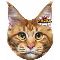 Polštář 3D Maine Coon Cat