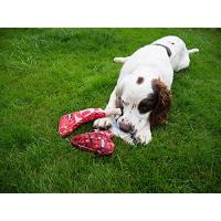 Hračka pro psy Plubber Lamb Chop