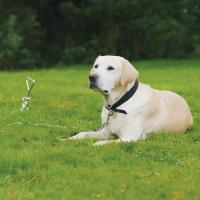 Kovový řetěz 1,8m x 3,8mm