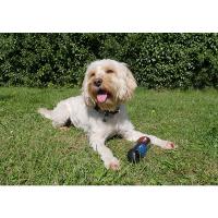 Pestrobarevná hračka - tyč