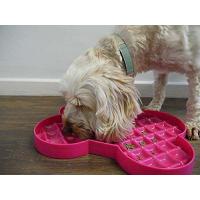 Protihltací miska pro psy - růžová