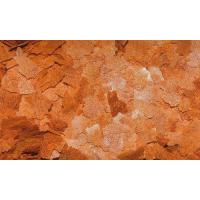 Dajana Artemia Vločky 100ml