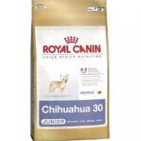 Royal Canin Chihuahua Puppy 500 g