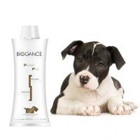 Biogance šampon Protein plus - vyživující 250 ml