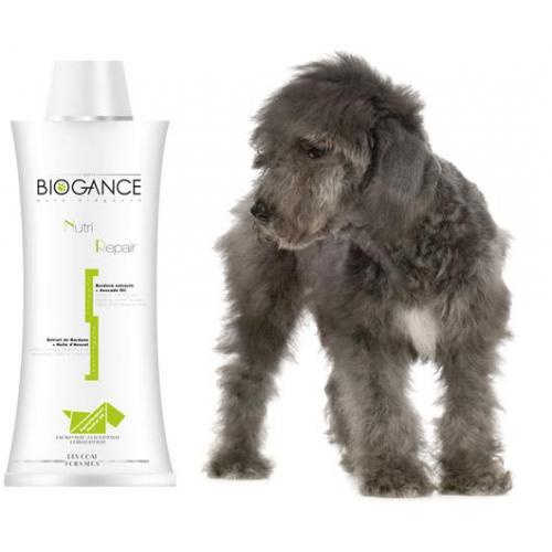 Biogance šampon Nutri repair - protisvědivý 250 ml