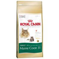 Royal Canin Maine Coon 31 - 2 kg