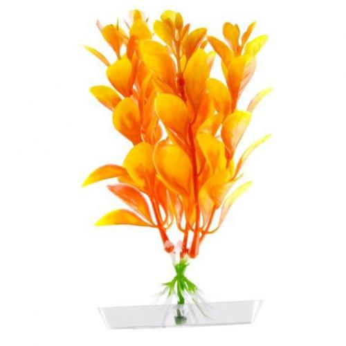 JK AQUARIUM akvarijní rostlinka - Orange Ludwigia mini