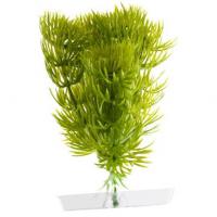 JK AQUARIUM akvarijní rostlinka - Anacharis mini