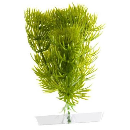 JK AQUARIUM akvarijní rostlinka - Anacharis mini