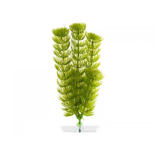 JK AQUARIUM akvarijní rostlinka - Anacharis malá