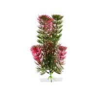 JK AQUARIUM akvarijní rostlinka - Red Anacharis malá