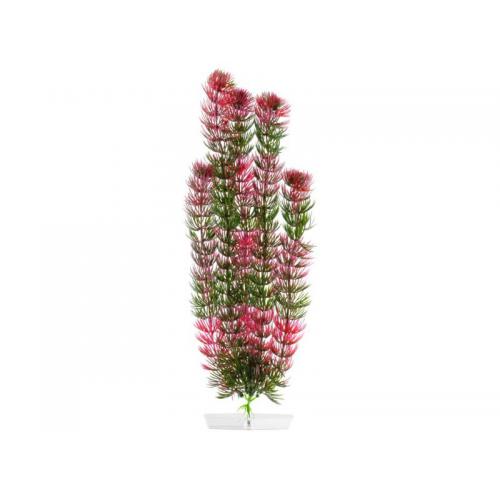 JK AQUARIUM akvarijní rostlinka - Red Anacharis velká