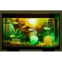 H2Sh0w akvarijní dekorace Lost Civilization Pyramida