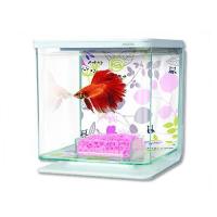 Akvárium Betta Marina Kit Floral 2 l