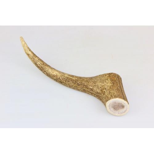 Marp Holistic - Jelení paroh, velikost XL (160 - 200g)