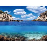 Aqua Nova Oboustranné pozadí PLANTS/OCEAN L