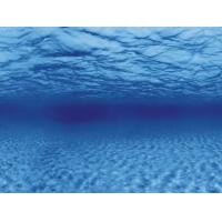 Aqua Nova Oboustranné pozadí ROOTS/WATER L