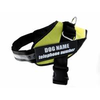 Kšíry Rescue XXL zelená