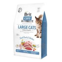 BRIT CARE CAT GF LARGE CATS POWER & VITALITY 400g