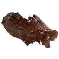 Kořen DriftWood Shrink M