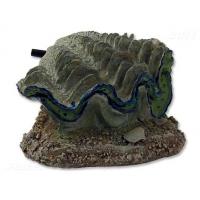 Dekorace akvarijní vzduchovací Škeble