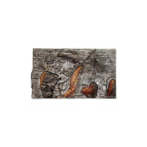 Pozadí akvarijní MD 100 x 40 cm