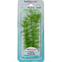 Rostlina Ambulia Plus 46 cm