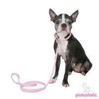 Obojek Pinkaholic Flamingo