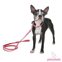 Obojek Pinkaholic Flamingo