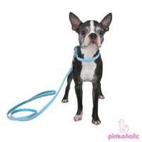 Obojek Pinkaholic Flamingo