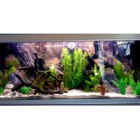 Akvarijní 3D pozadí Amazonia 120 x 50 cm