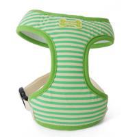 Puppy Angel Across The Universe Soft kšíry - zelené