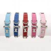 DOGUE Bones vodítko