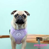 Pinkaholic Princesse Harness kšíry - fialová