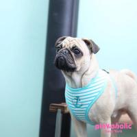 Pinkaholic Matelot Harness kšíry - modrá
