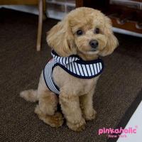 Pinkaholic Matelot Pinka Harness kšíry - tmavě modrá