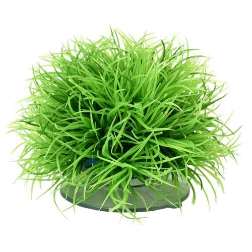 Plant Ball 5 cm