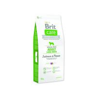 Brit Care Grain-free Adult Large Breed Salmon & Potato 12 kg