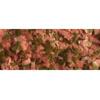 Dajana LEGEND - Goldfish flakes 250ml