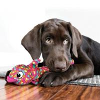 Hračka KONG Wubba Finz S