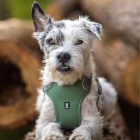 Postroj Hurtta Weekend Warrior ECO zelený