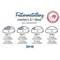 Happy Dog Sensible Junior Salmon & Potato 4kg