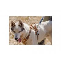 Postroj Hurtta Weekend Warrior okrová